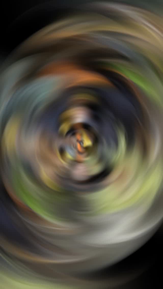 The crew!
#livermoredowntown #livermorehomedecor #homedecor #livermorehomedecorstore #theholidaylivermore