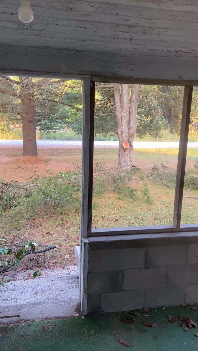 The work bee has started with our first volunteers digging in to the front yard project!#