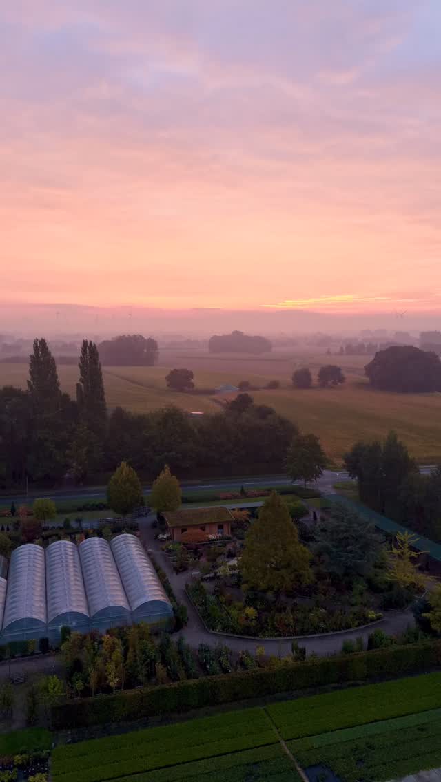 Autumn Sunset 🌅
Der Verkauf von der Baumschule in der herbstlichen Morgensonne
#autumn #sunset #autumnsun #dji #djimini5pro #baumschule #natur #nature #gärtnerei #gartencenter #pflanzencenter