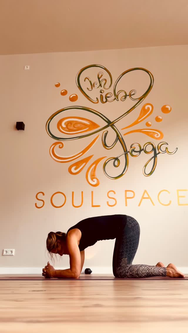 A Pincha a day keeps the docotor away 😎.
So oder so ähnlich lautet der Satz doch, oder?
Genieß den Tag 🧘🏼♀️✨
#ichliebeyoga #yogaliebe #wetterruhr #soulspace #yogastudio #yogalehrerin #yoga #pincha #pinchamayurasana #scorpionpose