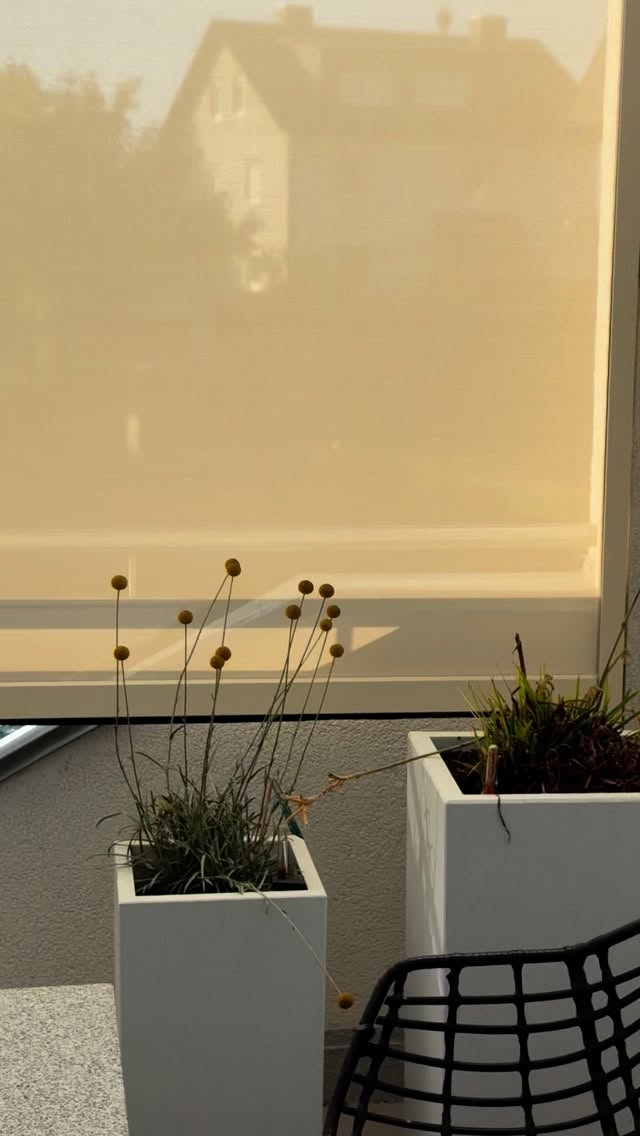 Nach dem Regenwetter in den vergangenen Tagen haben wir ein Video gesucht in dem die Sonne scheint ☀️☀️☀️
Diese Vertikalmarkise bekommt seine Energie durch das kleine Solarpaneel, so kann kann die Markise ganz OHNE großen Aufwand nachträglich installiert werden.
Wir sind so begeistert 😍
#outdoorliving #solarmarkise #markise #vertikalmarkis #solar #solarpower #markisenachrüsten #lovethis