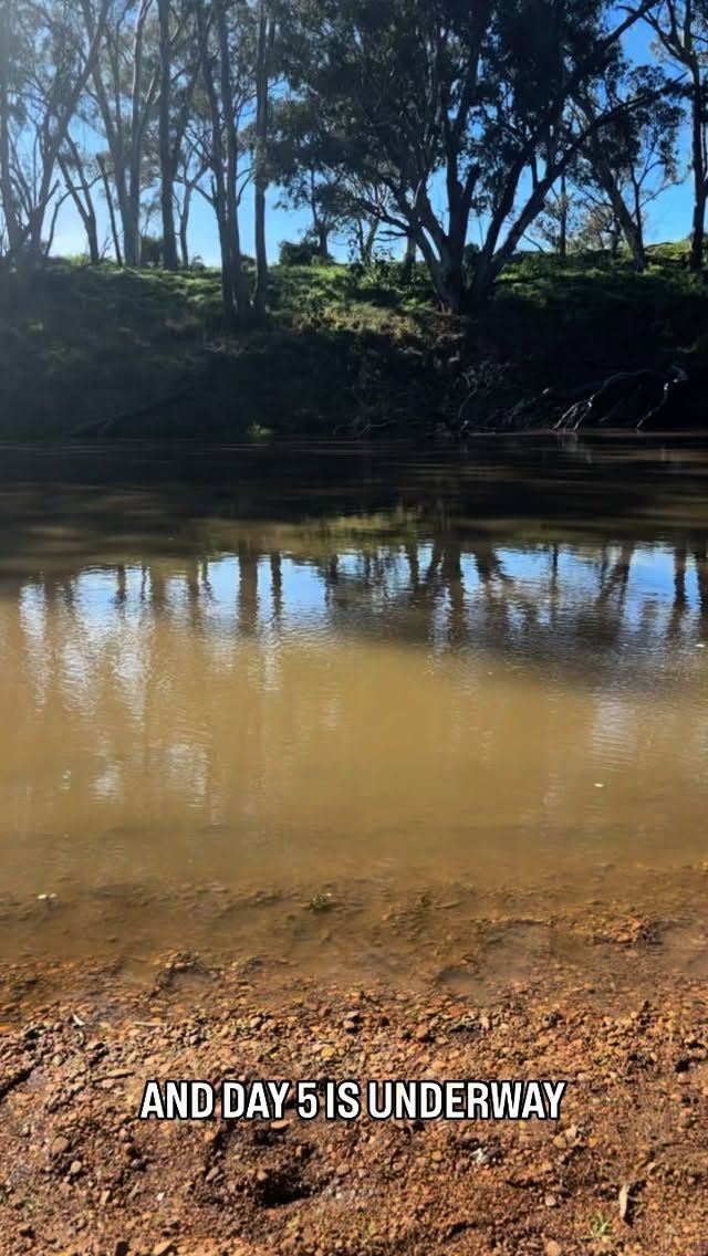 Day 5 of the Murungidyal Paddling Pathways Program 2025
#Murungidyal #PaddlingPathways #THRIV3 #OnShore #CampLife #BushTucker #YouthOnCountry #CultureAndConnection #mpp2025