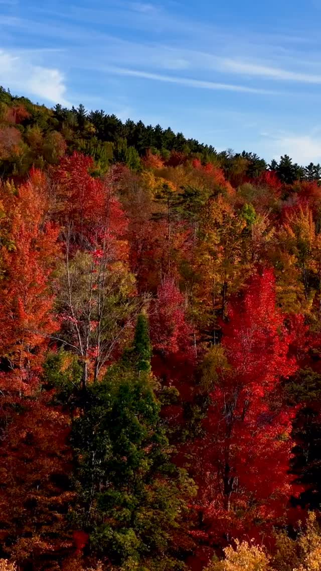 WELCOME FALL - There is nothing in the world quite like the golden hour sun shining on the peak color leaf change welcoming in Autumn in the White Mountains of New England !!! Filmed on the Mavic 4 Pro. @djiglobal @dji.mavic4pro #travel #leafchange #peepers #leafpeepers #fall #whitemountainsnh #whitemountains #autumnvibes🍁 #autumn