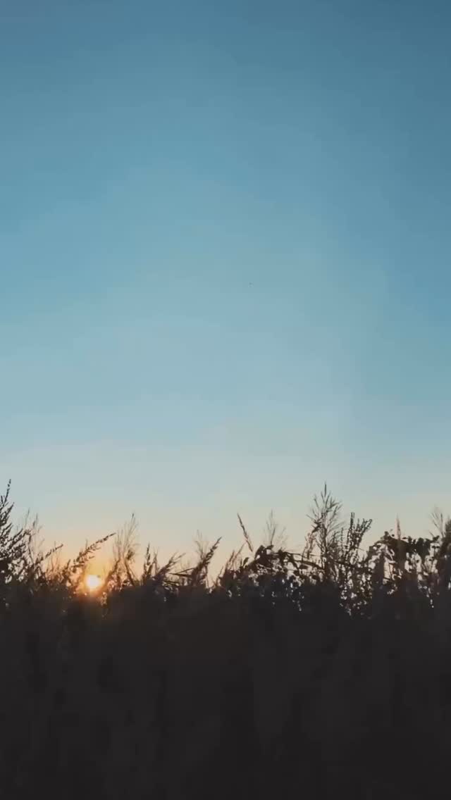 ✨ Think of something special… 🇿🇦
It looks a lot like home.
Happy Heritage Day from CND Travel 🦁😉
#southafrica #heritagedaysouthafrica #travelsouthafrica🇿🇦