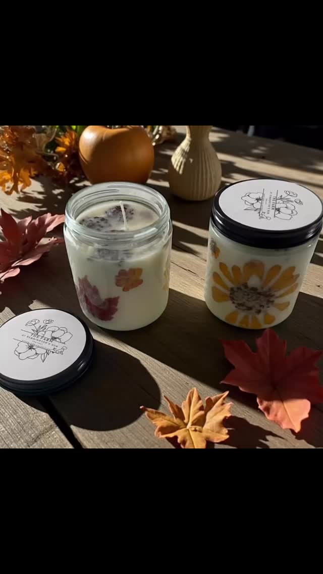 🍁🍂 Happy to share our new Fall goodies! Our fall-scented candles are here, and we’re obsessed with our pumpkins adorned with dried flowers straight from the farm. The perfect touch of autumn magic for your home.
#FallOnTheFarm #PumpkinSeason #FarmFreshFlowers #DriedFlowerDecor #FallCandles #FarmhouseStyle #PumpkinDecor #CozyVibes #SeasonalDecor #AutumnMagic