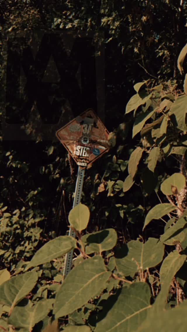 📍 41.4040° N, 71.4405° W
Walls don’t just speak — they signal.
Every layer of paint is another cipher, another code waiting to be carried.
Wakefield hides gems in plain sight.
The question is… do you see them? ᚲᛟᛞᛖ (CODE)
#RIArtScene #NewEnglandStreetArt #CodeCarriers #squad4ourlife #fyp