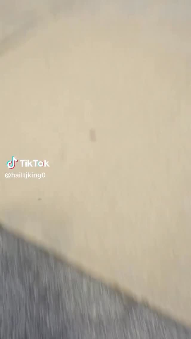 I got into a little tussle the other dayโฆ needless to say, heโll never try my best friend like that ever AGAIN!
@hailtjking ๐๐พ