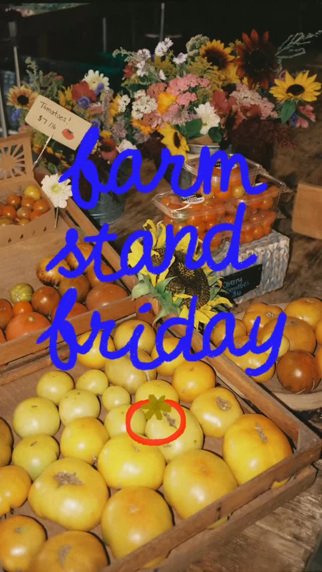 We are back!
FARM STAND FRIDAY 9/26/25
Farm Store open 4-8pm
Smokewood BBQ truck 5-8pm
Celebrate the season with us at the Farm today!
🍅🍅🍅🍅🍅🍅🍅🍅🍅🍅🍅🍅🍅🍅🍅