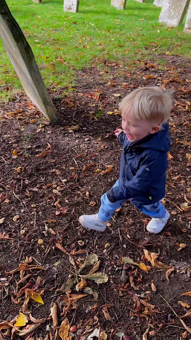 🍁🍂Autumn is here🍂🍁