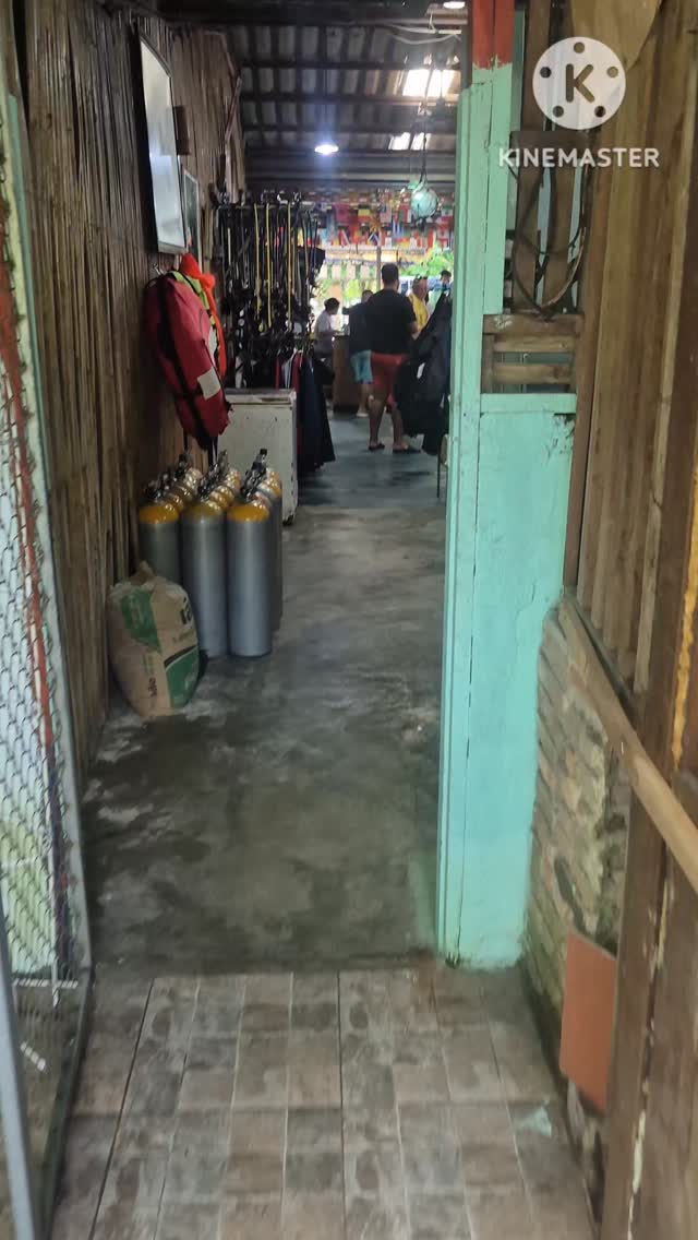 Another great day underwater with buddies . #diving #underwater #scubadiving #greenfins #protectnature