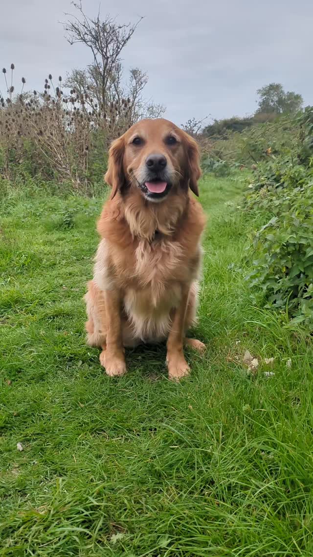 Sisters ❤️ Golden Girls Together.