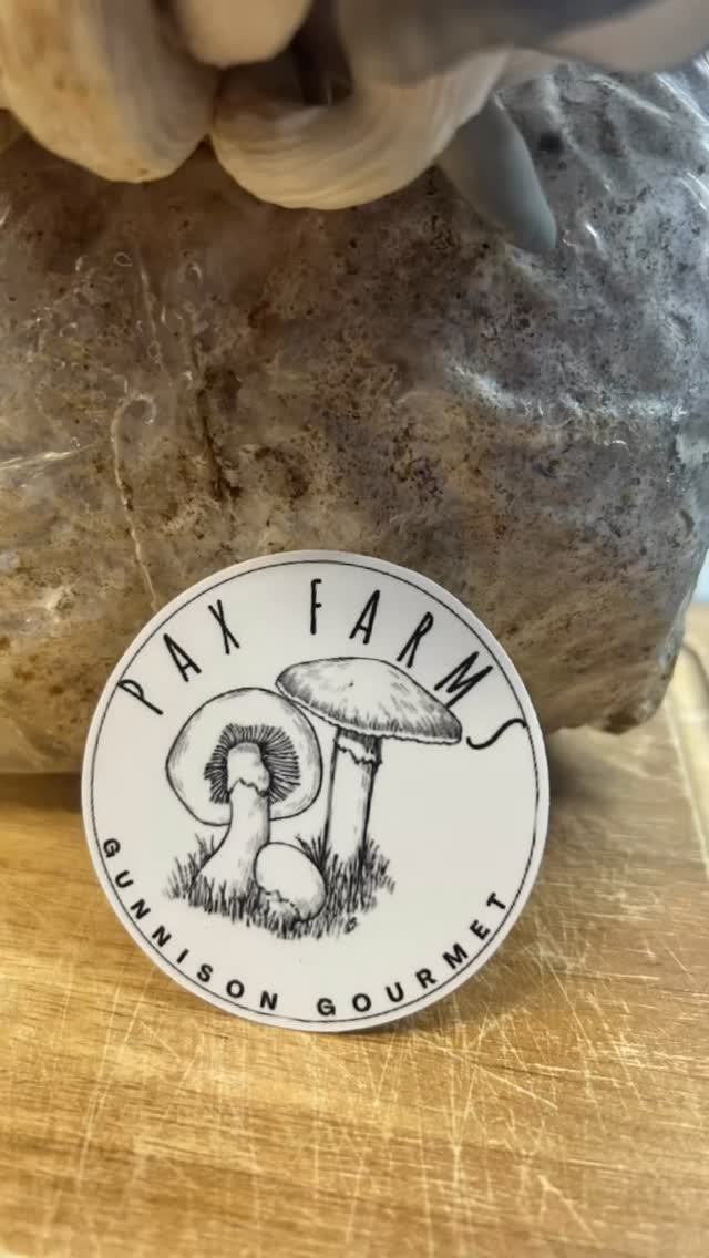 ๐ Launching Pax Farms Stickers! ๐
Every sticker you buy goes directly toward helping us invest in new equipment so we can grow more mushrooms and share them with more kitchens across the valley.
๐ The designs are fun, but the mission is serious โ youโre helping a local farm expand and thrive.
๐ต $3 each โข $8 for a 3-pack (free shipping!)
๐ฆ Link in bio to order
Thank you for supporting local food and helping us grow โ one sticker at a time ๐
#paxfarms #paxmeanspeace #knowyourfarmer #gourmetmushrooms #gunnison #gunnisonvalley #crestedbutte #local #mushrooms #soyfree #mountaingrown #fresh #local #colorado #coloradoproud