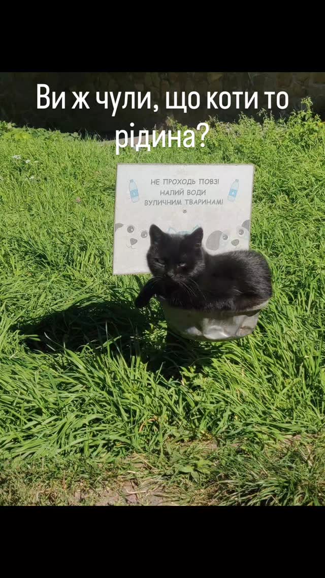 Київська 146