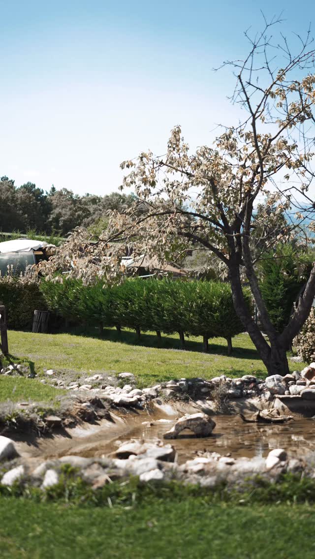 Bir atın gücüyle bir insanın emeği yan yana geldiğinde ortaya çıkan şey, sadece bir antrenman değil; özgürlüğün, disiplinin ve hareketin en saf hali oluyor. 🐎✨ ExLab’ta biz her zaman şuna inanıyoruz: hareket, hayatın her alanına yayıldığında gerçek anlamını bulur. Salonda ter döktüğün o an, dışarıda attığın her adımı, hayata kattığın her değeri güçlendirir. Bugün bu videoda, atın asaletiyle antrenörün emeği birleşti; bu sadece bir görüntü değil, bir felsefe. Güç, denge, cesaret ve özgürlük aynı karede buluştu. Çünkü biz ExLab’ta, antrenmanların sadece kas geliştirmediğini; karakteri, ruhu ve hayatı dönüştürdüğünü biliyoruz. Ve her zaman söylediğimiz gibi: Gücünü hisset, özgürlüğünü yaşa.
İyi ki varsın iyi ki bizimlesin @hayatt.uyanik ! 👊🏼
Ev sahipliği için teşekkürler ! @tabiat / @tabiatbinicilik