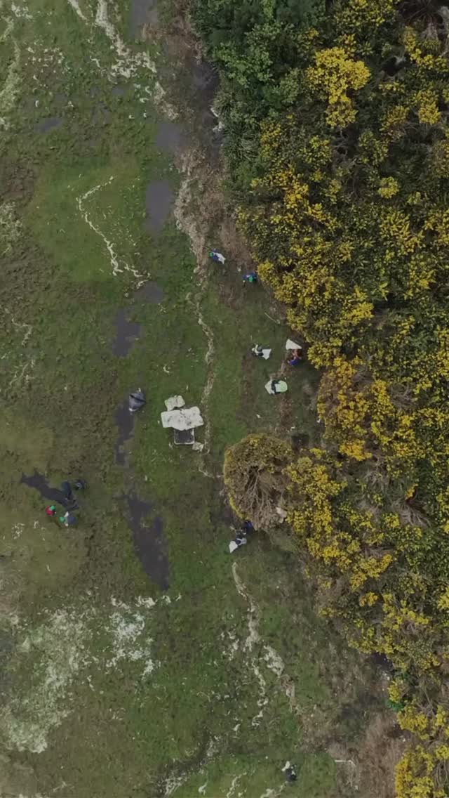 ¡Ha llegado el momento de actuar!💪🏼
Este 1 de octubre nos unimos en la gran jornada de limpieza de playas y humedales en toda la región de Los Lagos: Limpiemos en un Día 🌿
➡️ 13 comunas, 22 sectores y cientos de voluntarios para recuperar el territorio y proteger nuestros ecosistemas.
#LimpiemosEnUnDía es una iniciativa de La Ciudad Posible, coordinada con municipios, la Armada, empresas locales y organizaciones sociales y privadas de la región de Los Lagos.
¡Inscríbete como voluntario en www.recuperaytransforma.org (enlace en nuestra bio) y sé parte de esta acción colectiva!