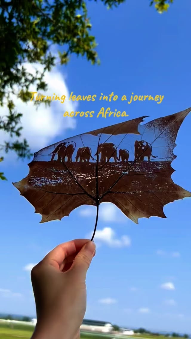 This isn’t painting, it’s leaf art magic ✨🍁🍃🍂🍁🌳🌳🌳🌳🌳#leafart #christmasgiftideas #uniquegift #elephant #garden#autumn