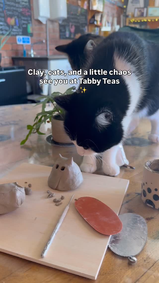 Clay, cats, and a little chaos 🐾✨
Join us at Tabby Teas Cat Café on Thursday 2nd October, 5-7pm for a ceramic workshop (and a dream come true)
We’ll be making cat ghosts 👻🐱 (yes, spooky AND cute), I’ll fire and glaze them in time for Halloween. 🎃
2 hours of play with the curious resident cats, who seriously didn’t leave me alone when filming this reel! 😻
Spaces are limited! Message to book your place 🐈🐈⬛✨