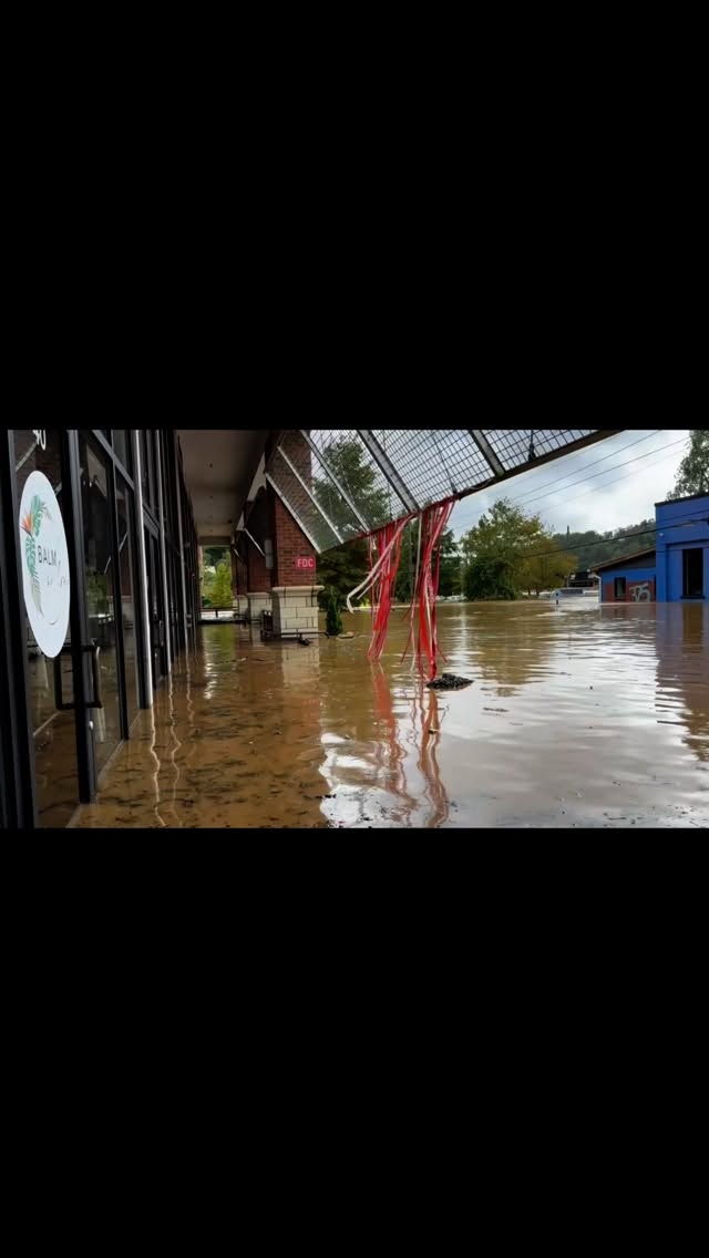 One year ago my life was changed in a way I never imagined. I think the loss was particularly hard because so much of my loss centers around this time of the year.
Having lost my parents in early October years ago only highlighted the loss, and lack of safety that losing my business brought.
My beginning wasn’t an easy one, as a young single mom I scraped my way to where I had gotten bit by bit.
I was working on trying to find a life for myself when I started my career as a hairstylist in Athens GA.
I moved here with my son over 11 years ago and made so many friends and connections along the way, working in some really great salons in the area.
The more I worked in my career the more I fell in love with it, I really realized that more than hair, it was the deep connections I was making with people that I loved. It felt so transformative for myself and my clients to get to share space and talk about the big important topics of what was happening in our worlds. No fakeness, no small talk, only people sharing ideas, thoughts, and connecting.
In 2022 I started Balm in the river arts from some lucky and random opportunities, and thrived from the very start! I created the type of space I was looking for, full of light and plants, open to people working free of ego to grow and thrive in their own ways.
September 27th came and wiped everything away overnight, it was such a wild experience to walk into the space I put so much love into and see it covered in mud and flood water.
I knew I wasn’t ready to give up, and I’ve always been so tenacious, so we got to work right away to save what we could and then help the people around us.
The amount of love and support I received was overwhelming, it came from across the us from people I didn’t even know, it came from my friends, clients, and other local salons.
We were given money, tools, a place to work…
All of this is so say how grateful I am for the people around me, this storm didn’t just effect those with physical damage and loss, it touched us all.
***continued in caption***