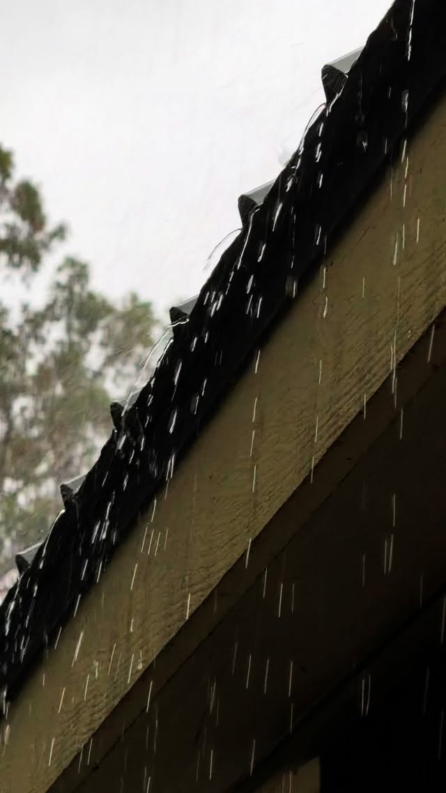 Spontaneous iPhone filming at @wearsvalleyranch. We got hit with rain so it made sense to capture some Slomo beauty. #filmmakers #slowmotionvideo #iphonefootage #raindrops #slowmotionrain