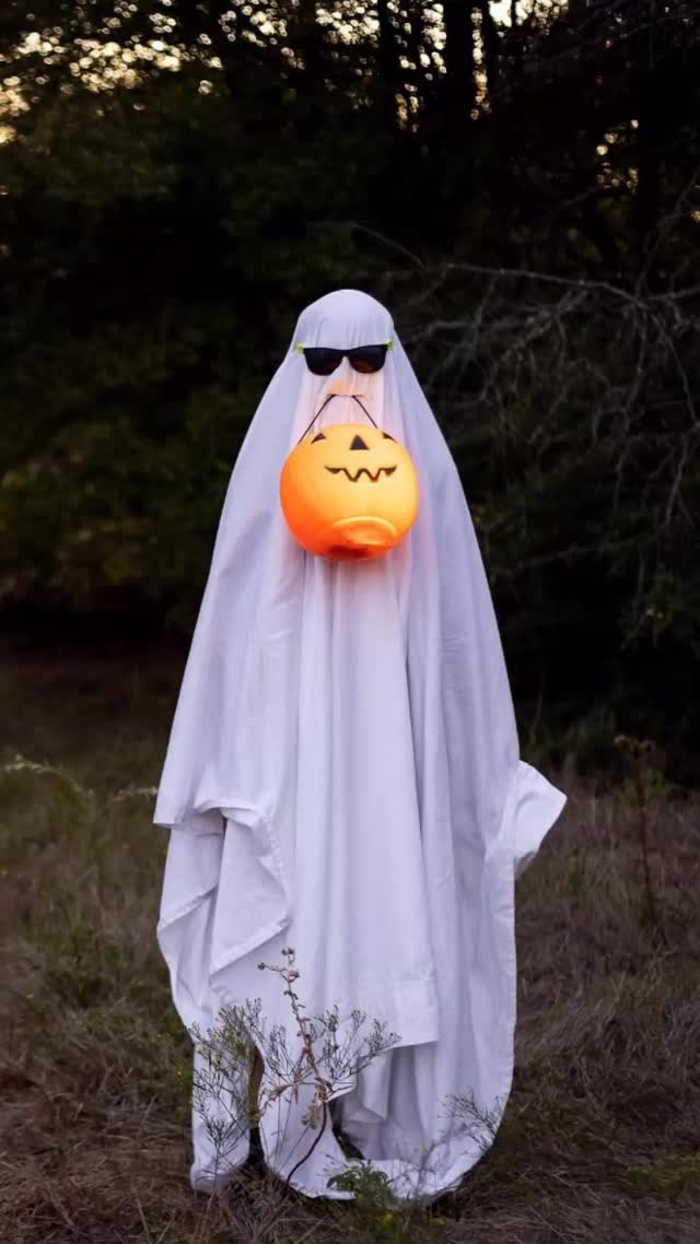 Boo!
Time to book your fall minis! Whether that’s to show off your favorite costume, or to get a Headstart on holiday photos this year, I’m here for you!
#richardsontx #dfwphotographer #richardsonphotographer #dallasphotography