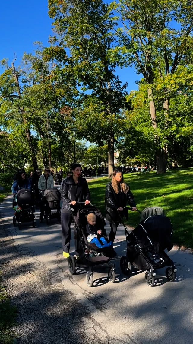 THE REASON I LOVE MONDAYS 💙
Lyxen att få starta varje måndag såhär tillsammans med er 🫶🏽 Tagga en mamma som borde hänga med!
AKTIV BARNVAGNSPROMENAD
🙌🏽 Träffa andra föräldralediga under den 5km långa promenaden med barnvagn när vi gör stopp för träning, rörlighet & pulshöjande övningar 💦
📅 Varje måndag kl. 10.00
📍Vi möts i korsningen Strandvägen/Djurgårdsbron
💪🏽 5km promenad med stopp för träning & rörlighet. Rör på dig mycket/mindre eller vila.
👟 Kom som du är, gärna i träningskläder som är sköna att röra sig i 🙌🏽
🏋️♀️ Promenaden leds av Benita, fysioterapeut & PT som tränat hundratals kvinnor under/efter graviditet. Driver träningsstudion @studioq.sthlm
💙Bäst av allt - det kostar inget!