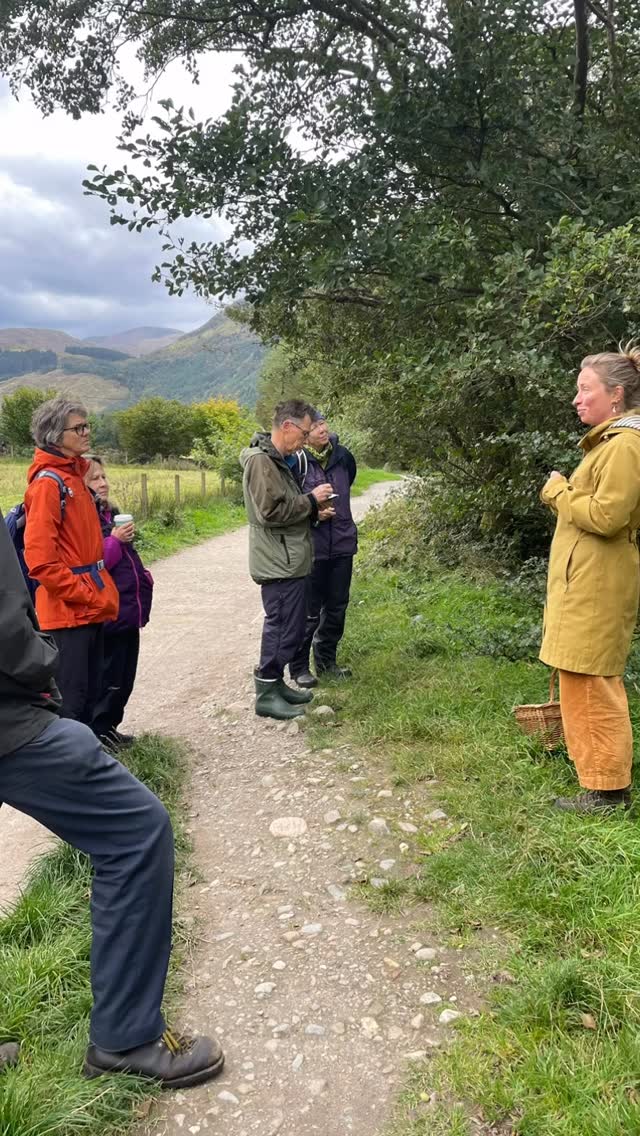 Glen Nevis foraging 🌿
Lovely to be back up the Glen this morning leading a herbal medicine and foraging walk for @friendsofnevis and @nevis_landscape
Despite the dreadful forecast we dodged the worst of the rain and found lots of interesting plants to talk about.
I’ve got lots of events coming up over the next month or so, do Keep an eye out for what’s coming to the local area!
.
.
.
.
.
#foraging #herbalmedicine #medicalherbalist #scotlandswildmedicine #bennevis #glennevis #scottishhighlands