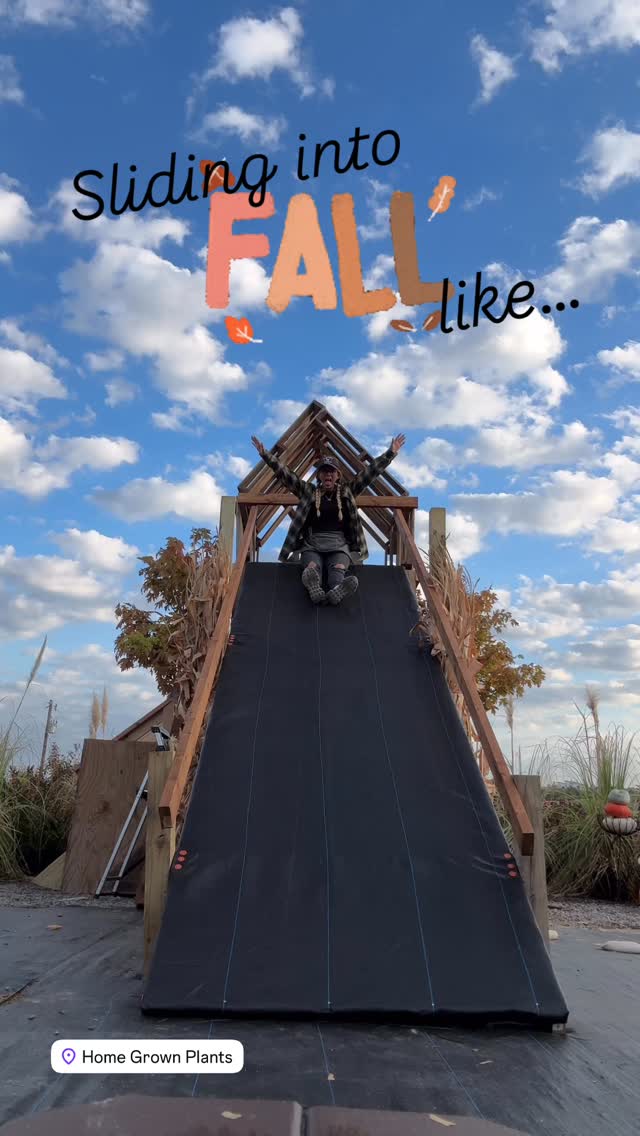 Sliding into fall like... 🍂 Turns out the only thing faster than these falling leaves is zipping down our funtastic slide! 😂 #FallFun #SlideGoals #SlideIntoFall”