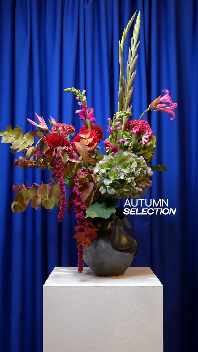 Autumn blooms are here at Fiori —
vibrant colors to warm even the rainiest days!