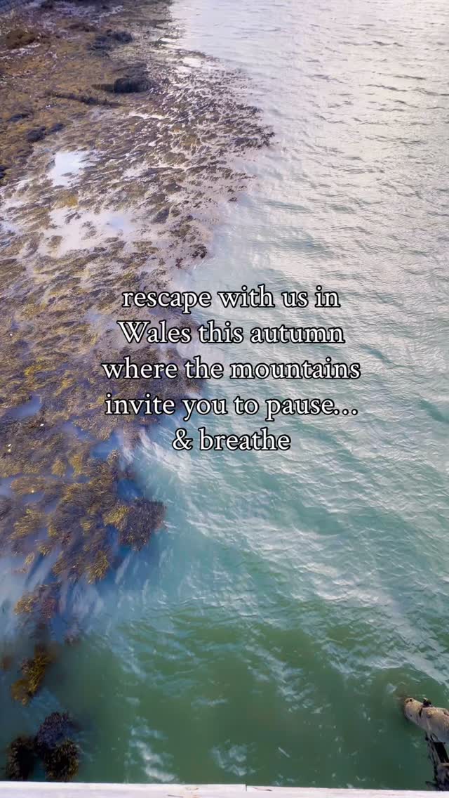 This is a small, intimate retreat on the coast of Anglesey . just a handful of us coming together for yoga by the sea, hikes through the Snowdonia peaks, and deep rest. Between practices and time in nature, we’ll be nourished with beautiful meals prepared by our classically trained private chef.
3 days to slow down, connect, and live with the rhythm of the land and sea. Oct 22-25th 2025
Spaces are very limited DM to join.
#yogaretreat #walesretreat #anglesey #snowdonia #yogaandhiking #slowtravel #mindfultravel #wellnessretreat #yogauk #natureheals #travelwithpurpose
