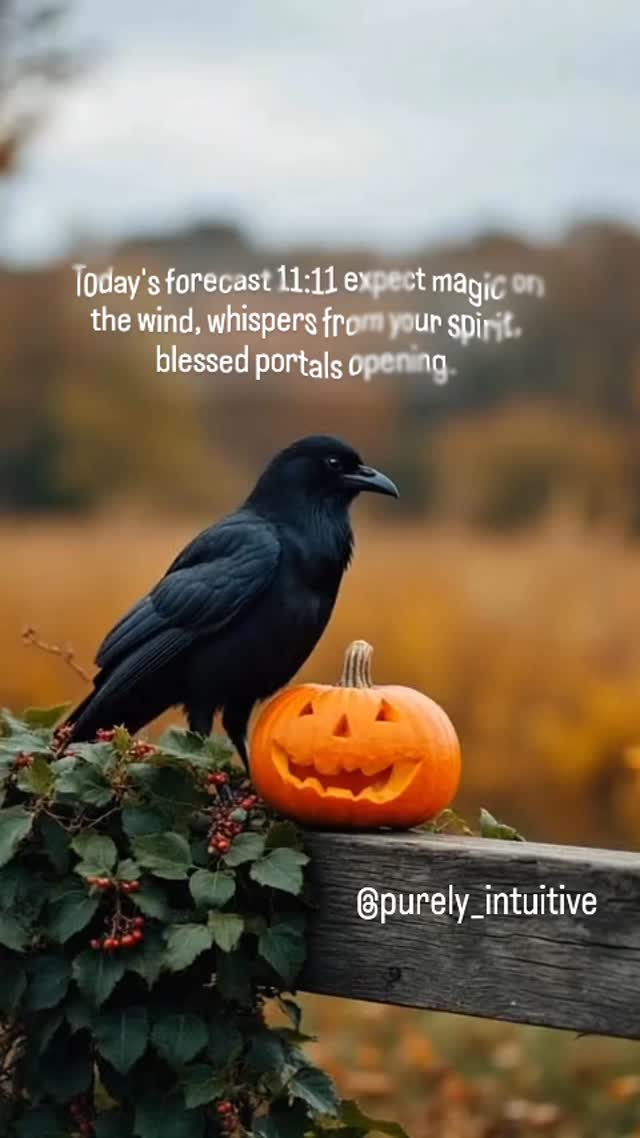 At 11:11 the veil will thin. Clear your energy. Hear your magic. Trust your destiny to guide you. ✨👁️✨
#1111Portal #intuition #energyalignment
#WhispersOfSpirit #betruetoyourself
#MysticForecast #empaths
#RavenMagic #thirdeyetribe
#PumpkinSpells #aurareading
#SacredSigns. #seasonofthewitch
#SpiritWhispers
#EnchantedLiving
#MysticalMessages
#TarotAndMagic