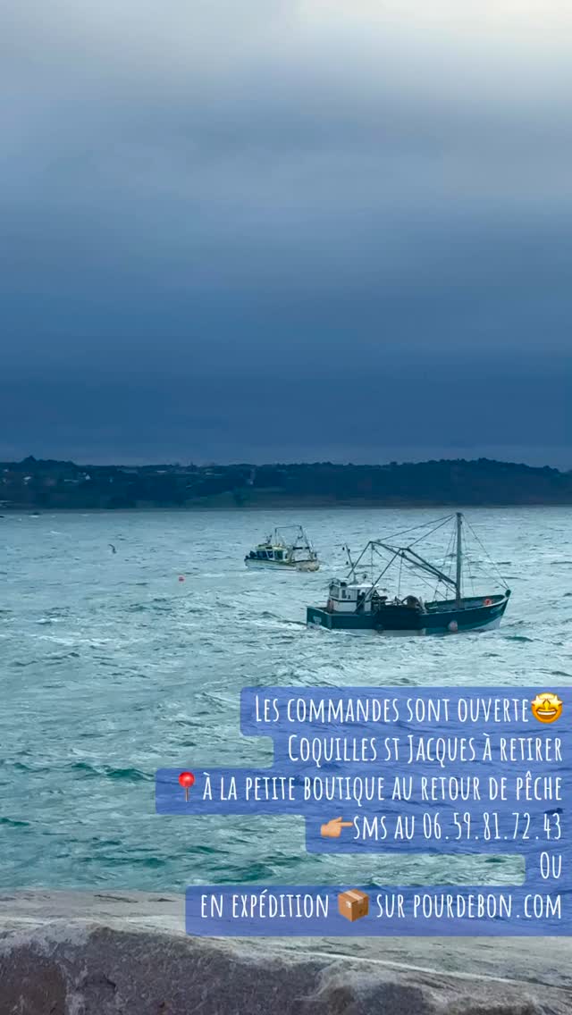🐚 C’est reparti pour la saison des Coquilles Saint-Jacques ! 🐚
📅 Ouverture officielle : 1er octobre
📩 Commandes ouvertes dès maintenant !
📞 Par sms de préférence au 06 59 81 72 43
📍 À récupérer directement au retour de pêche, à la petite boutique, par sac de 10kg ou 25 kg
Ou
📦 En expédition Chronofresh, 24h partout en France 🇫🇷
👉🏻 pourdebon.com/armement-providence-vente-en-direct-du-bateau-s1348
✨ Des Coquilles St Jacques, ultra fraîches, en direct du bateau 😋
@pourdebon