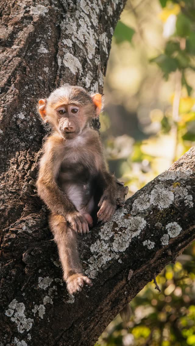 Fall in love again & again ...
...mit Reisen, Kulturen, Landschaften, Abenteuern una nicht zuletzt der Fotografie.
Worin verliebt ihr euch auf Reisen immer wieder neu?
.
.
#travel #wanderlust #exploretheworld #travelphotography #travelblogger #reiseblog #travellife #landscapephotography #streetphotography #reisenmachtglücklich #fernweh
#reisenundfotografieren #unterwegs #reiseliebe