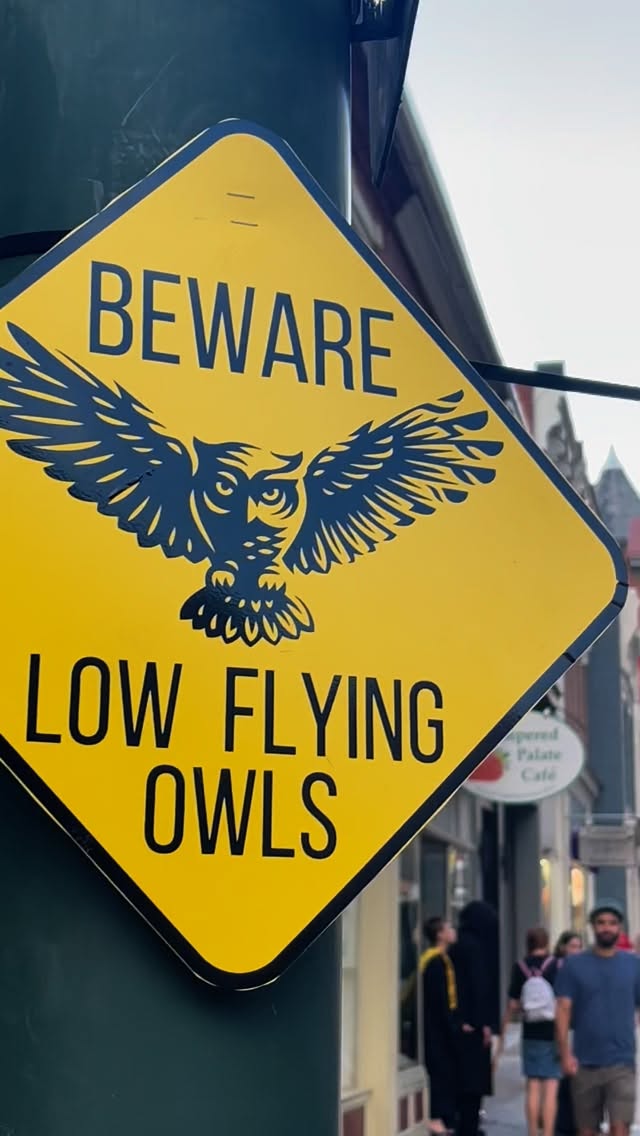 Tomorrow! @queencitymagicsva #queencitymischiefandmagic #qcmm2025 #queencitymischiefandmagic2025 #Staunton #StauntonVA #DowntownStaunton ##StauntonLove #VisitStaunton #VisitStauntonVA #HistoricStaunton #VA #Virginia #VirginiaIsForLovers #LoveVA
#Shenandoah #ShenandoahValley #AugustaCounty #WaynesboroVA #HarrisonburgVA #CharlottesvilleVA #LexingtonVA
#stauntonbooksandtea