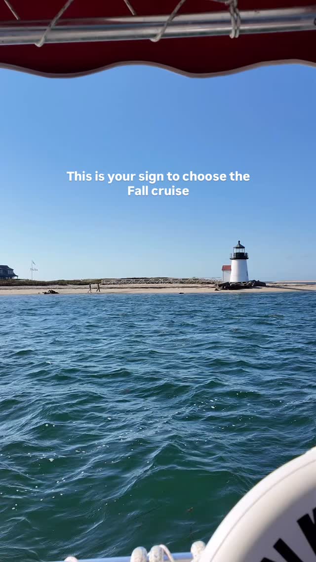 From sun-soaked afternoons to breathtaking sunsets, September showed off in every way. Don’t wait, book your fall cruise today!
#nantucketbywater #nantuckettours #nantucketcharters #nantucket #nantucketisland #nantucketlife #nantucketboattours