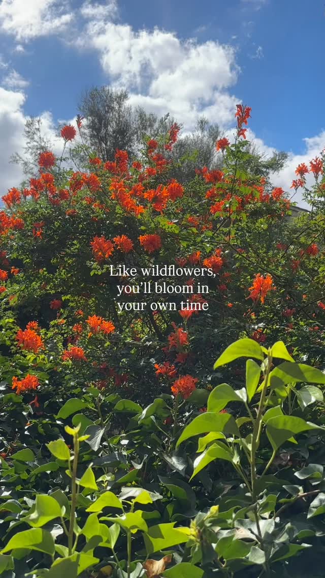 Just a reminder 🧡
#selflove #wellness #holistichealth #hormonehealth #hormonebalance #cyclesyncing #cyclesyncing #autumn #fall