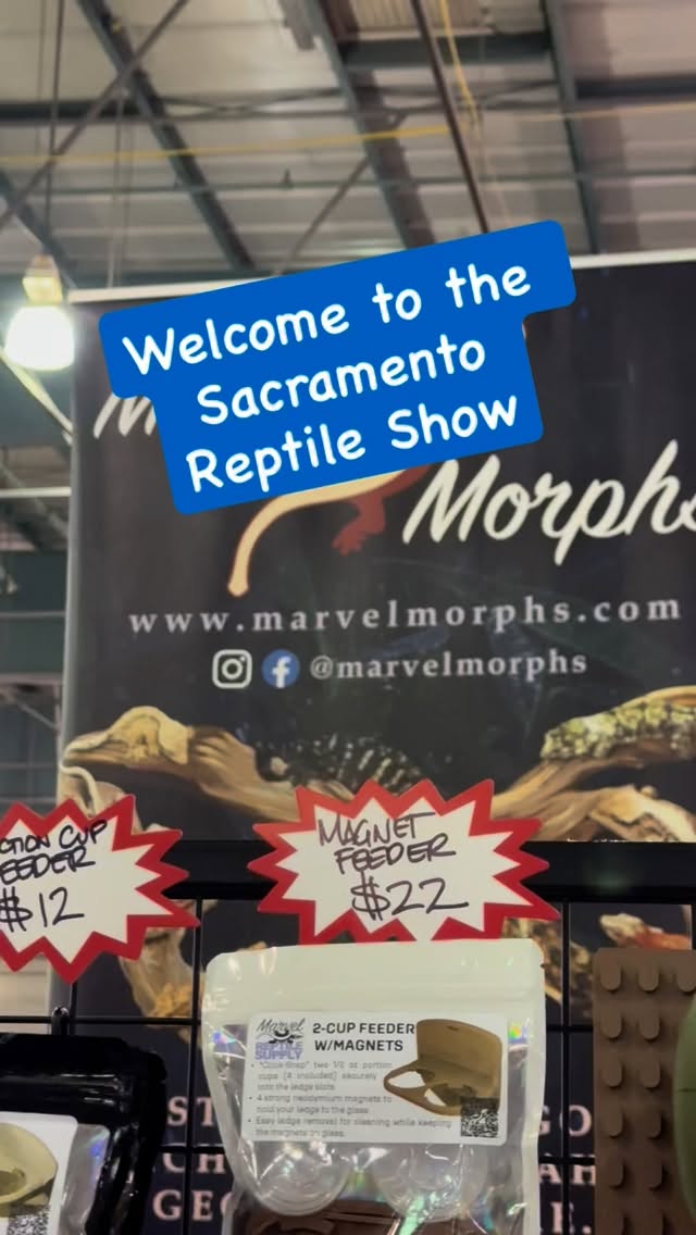 Day 2 of the #sacreptileshow
Come by #marvelmorphs and say hi. We got innovative new products that are changing the reptile community! We would love to show you!
#crestedgecko #bioactive #chahouagecko #reptileshow #gargoylegeckos #marvelreptilesupply #leachianus #chahouageckos