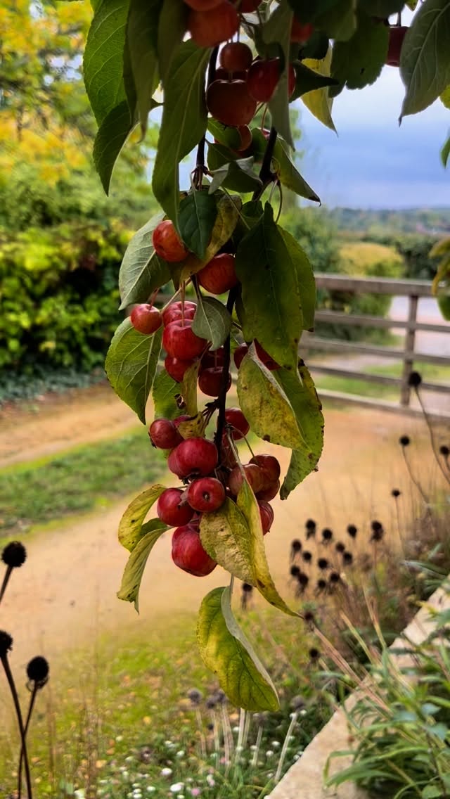 Protecting your mental health when the news is full of misinformation about autism feels hard sometimes. Here are a few ideas…
General mental health:
❤️🩹Set boundaries with news and social media.
❤️🩹Ground yourself in routines that bring calm, like walking, gaming or listening to music.
❤️🩹Reach out to people who understand and support you.
Positive action against misinformation:
❤️🩹Share resources created by autistic voices and trusted organisations.
❤️🩹Correct misinformation when you have the energy, but remember you don’t owe anyone constant explanations.
❤️🩹Know that small actions add up – you are not alone in speaking truth.
Autistic community:
❤️🩹Connect with the autistic community for understanding and solidarity.
❤️🩹Celebrate your strengths and special interests as a source of joy and resilience.
Remember: autism is not the problem. Ableism and misinformation are.
I’d love to know what helps you to navigate difficult times - let me know your strategies in the comments 🙏🏻
Lucy Pollard Therapies