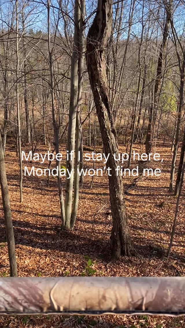 Fighting the Sunday Scaries
#outofoffice #hunting #nature
