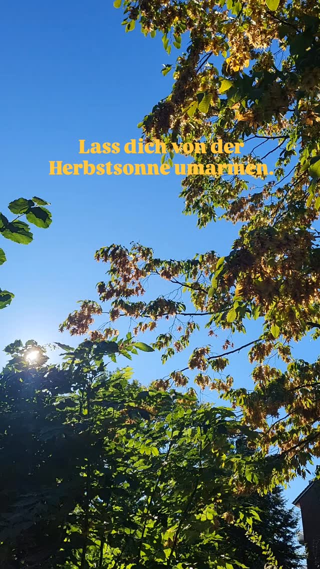 🍂 Der Herbst lädt uns ein, Licht und Dunkel neu zu betrachten.
Welche Teile in dir dürfen jetzt mehr Wärme und Zuwendung bekommen?
Heute Abend treffen wir uns zu Meditation und tiefer Entspannung - du bist herzlich willkommen. 🧡
Schenke dir Zeit für dich. Du kannst dich ganz einfach per DM anmelden.
#Meditation #Achtsamkeit #Herbstenergie #Entspannung #Selbstfürsorge #InnereRuhe #Seelenzeit