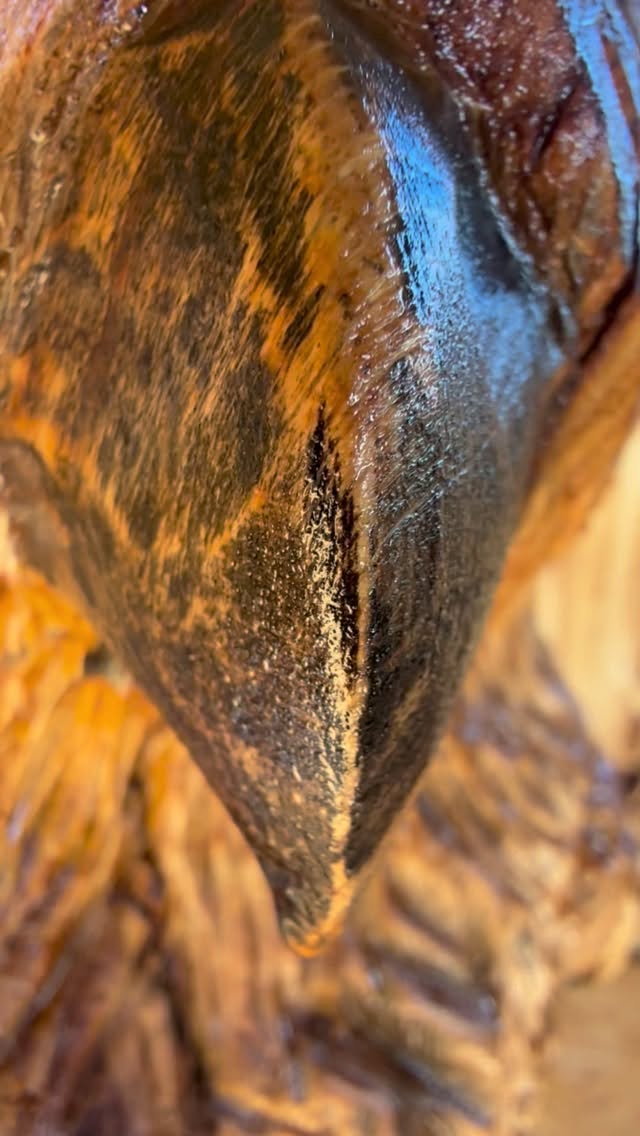 Mein Freund, der Milan
Schwebend über stillen Feldern wacht er,
Gabelwehe, rot im Licht – stolz sein Geleit.
Er glitzert auf Luft, als sei sie sein Meer,
Segelt lautlos durch Morgen und Abendkleid.
Er lauert, sieht Mäuse huschen im Gras,
Ein Schatten, ein Pfeil – zielsicher, so kühn!
Kein Kettenklirren bindet seinen Spaß,
Denn Freiheit heißt Flügel, heißt Wind, heißt Flieh’n.
Im Zwielicht, wenn Welt und Tag sich verweben,
Rastet er kaum – sein Reich ist der Blick.
Und wer ihn begehrt, muss nur lernen zu schweben,
Sich lösen, vertrauen: dem Flugstück.
⸻
Quelle / Inspiration: Urte Scheurmann-Baier#carvings #chainsawcarving