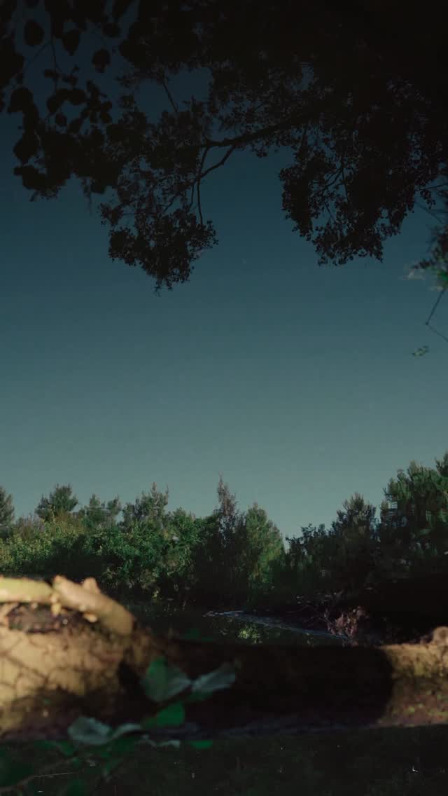 calling you to say… take a moment, breathe, be here ☉
﹏
﹋
🎥 @madiba.za
#mindfulness #naturelovers #naturephotography #wellnessjourney #selfcare #meditation #slowliving #innerpeace #natureheals #presence