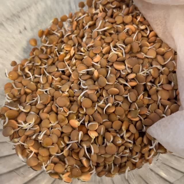 #wholefood #nutritious #nutritious #guthealth #salad #eatclean #easyrecipe #wholesome #healthylifestyle #prebiotics #probiotics #nutritionaltherapypractitioner #holisticcoach #consciouschoices #nurtureyourself