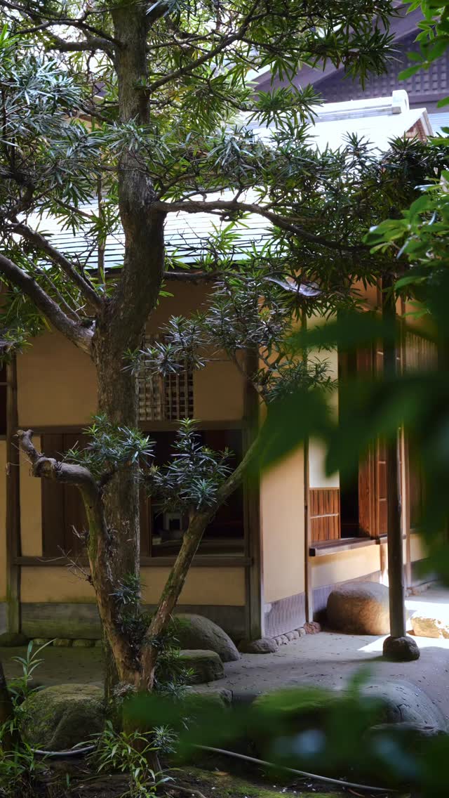 Recent work for @chontea.co earlier this summer 🍵 The rhythmic sound of cicadas echoing in the distance as the Koicha is skillfully prepared makes such a wonderful summer memory 🎐
Thank you Faustine & Keiko san!
#濃茶 #茶道 #teaceremony #japaneseteaceremony #tokyo #茶の湯 #videographerintokyo #photographerintokyo #tokyophotographer #tokyovideographer