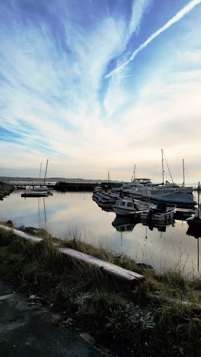 Even in the quieter Autumn months, Poole Harbour has a magic all of its own.
From our marina base, the fleet remains ready and the views stretch out across the water, a reminder of just how lucky we are to call this place home.
At New Wave Club, membership isn’t just about summer days and sunshine (though we love those too), it’s about having the water on your doorstep all year round, ready whenever you are.
If you’re already picturing yourself out there when the season turns, now’s the perfect time to start planning ahead.
#NewWaveClub #PooleHarbour #BoatingLifestyle #OnTheWater #JurassicCoast #DorsetLife #MarineAdventure