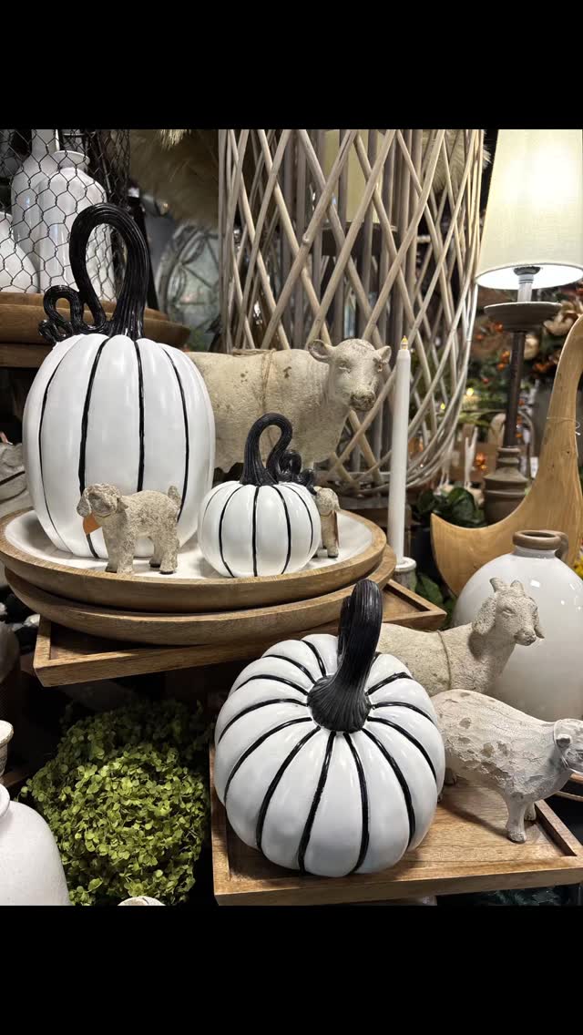 Some pretty things.....
#livermoredowntown #livermorehomedecor #homedecor #livermorehomedecorstore #theholidaylivermore #halloweenhomedecor #falldecor #fallhomedecor