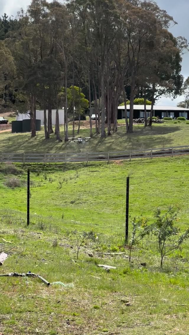 Playing around with biological stimulants at our farm in Merton. Slowly rebuilding our soils post pine harvest. #djiagras #djit25
