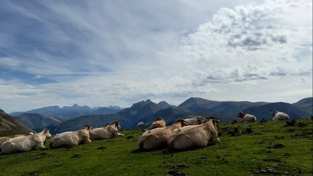 CowSound baths in the Pyrenees