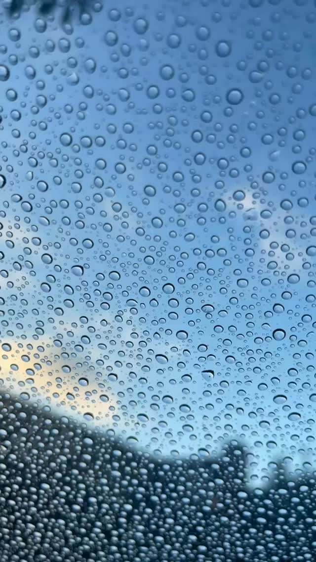 She thought about how tears felt like raindrops flushing away that which polluted her soul, hydrating fallow land so she could bloom. #amwritingfiction #amwriting