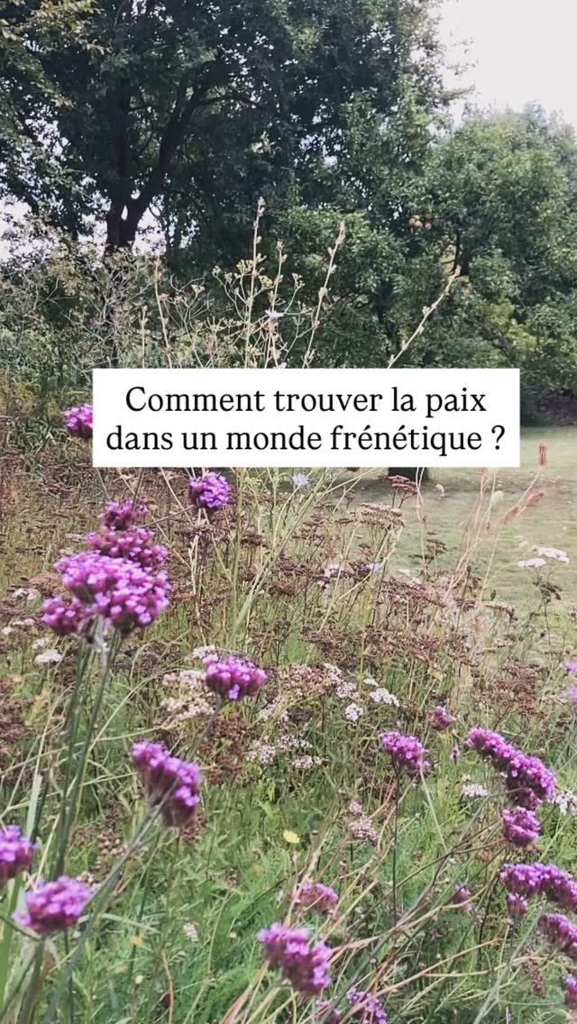 Quoi que vous fassiez en ce moment, faites-le en y consacrant toute votre attention (pleine conscience).
Evi Sola Yoga)
Professeur diplômée de Yoga (Adultes/ Enfants)
www.evisolayoga.com
07.74.88.72.18