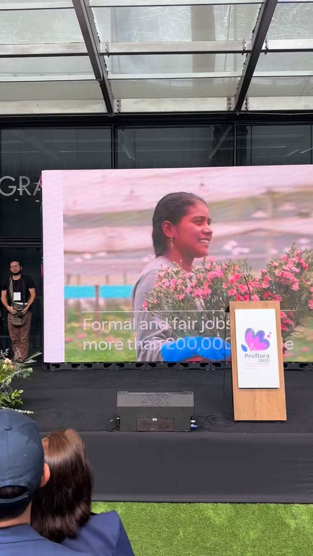 This first day was full of people eager to be amazed by the stunning varieties our growers brought to Proflora and to connect, collaborate, and grow their business. State tuned and see our amazong stands .#ecuadorysusflores #proflora #thebestroses #theflowersofecuador #theflowersofecuador #bestrosesever